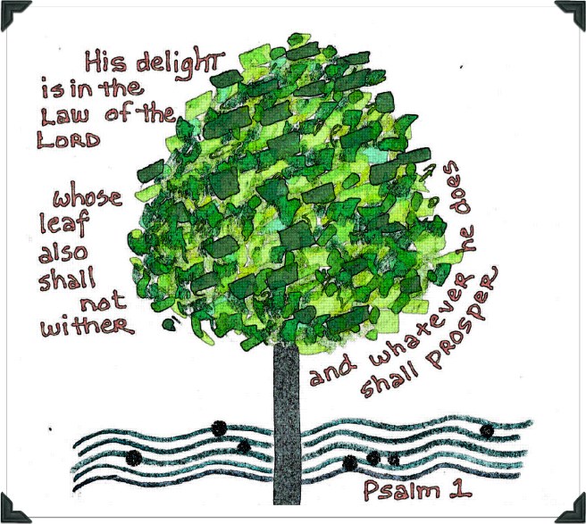 Psalm 1 Photo