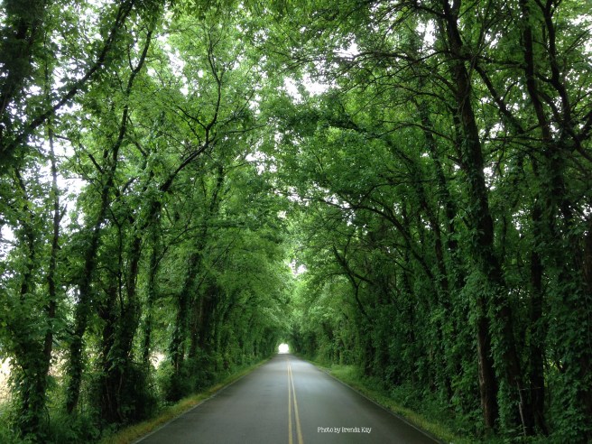 Tunnel with Signature